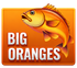 Big Oranges
